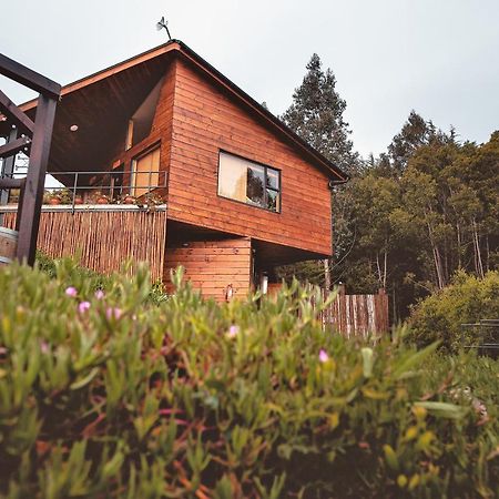 Cabanas Y Spa Costa Patagonia - Piscina Climatizada 皮奇勒姆 外观 照片