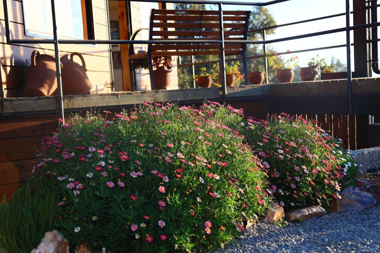 Cabanas Y Spa Costa Patagonia - Piscina Climatizada 皮奇勒姆 外观 照片