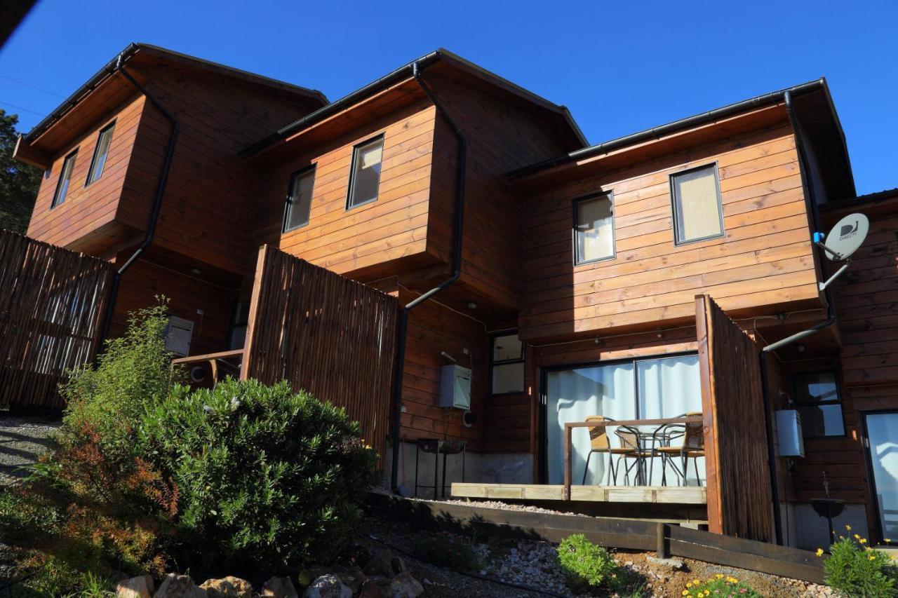 Cabanas Y Spa Costa Patagonia - Piscina Climatizada 皮奇勒姆 外观 照片
