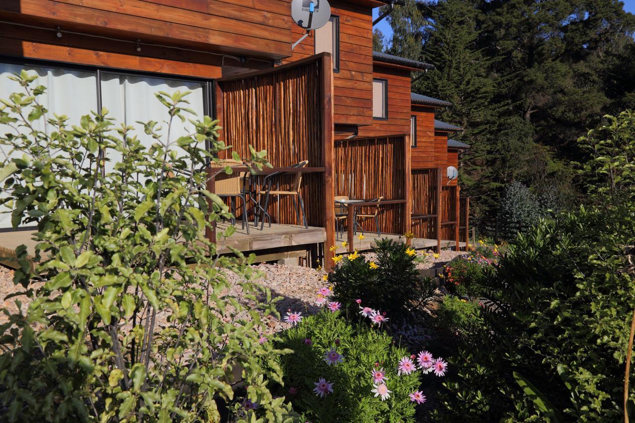 Cabanas Y Spa Costa Patagonia - Piscina Climatizada 皮奇勒姆 外观 照片