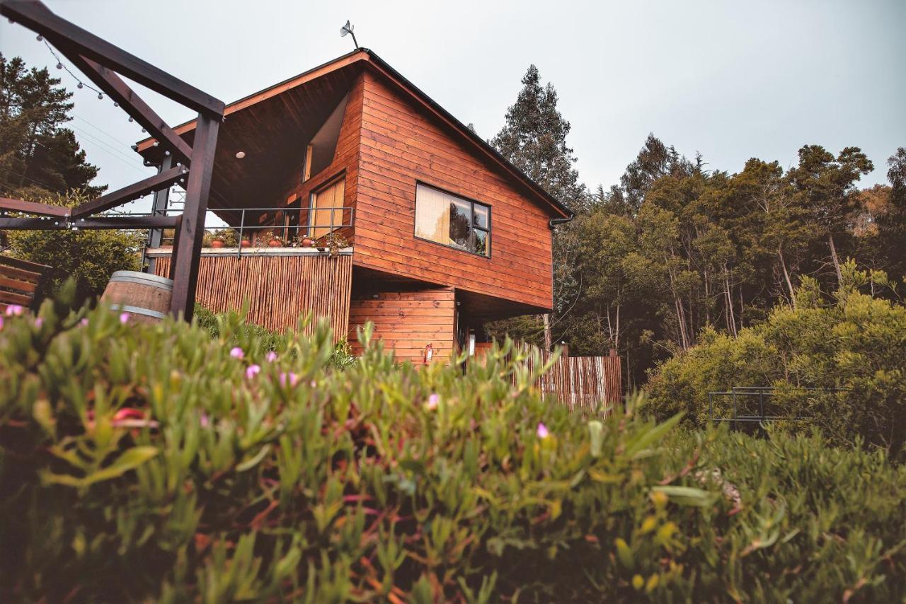 Cabanas Y Spa Costa Patagonia - Piscina Climatizada 皮奇勒姆 外观 照片